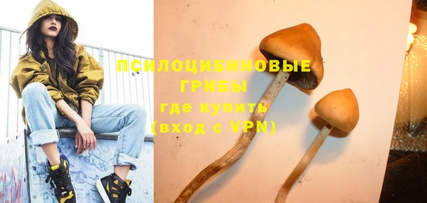 сатива Новокубанск