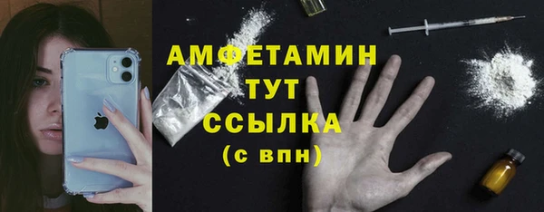сатива Новокубанск