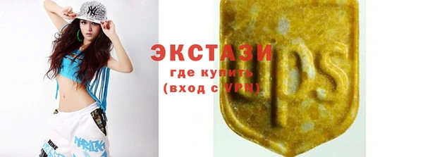сатива Новокубанск