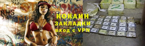 сатива Новокубанск