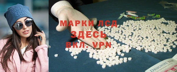 сатива Новокубанск