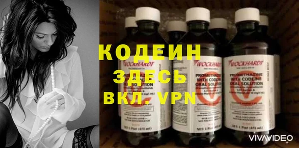 сатива Новокубанск