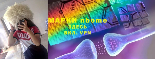 сатива Новокубанск