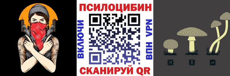 Псилоцибиновые грибы Cubensis  Райчихинск 
